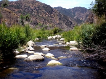 Piru Creek