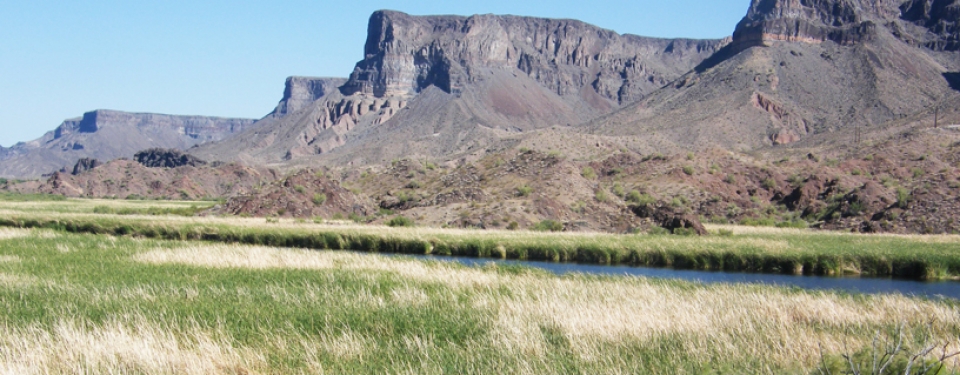 Bill Williams River, Arizona